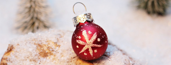 Online-Seminarprogramm im Winterschlaf