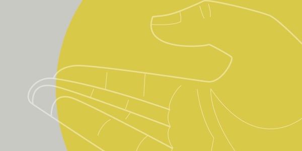 Bild: Alpen-Adria-Universität Klagenfurt