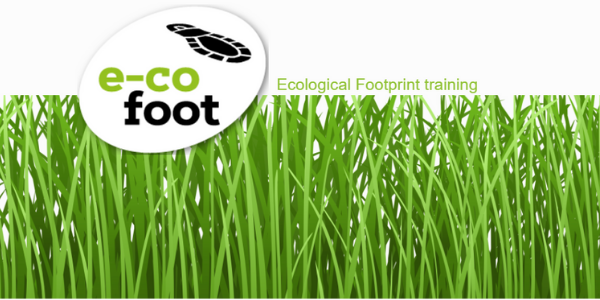 Grafik: Webseite (c)  https://www.e-co-foot.eu/de/materialen/