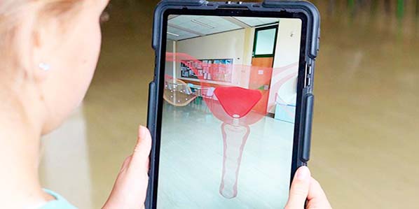 Bild: © erdbeerwoche